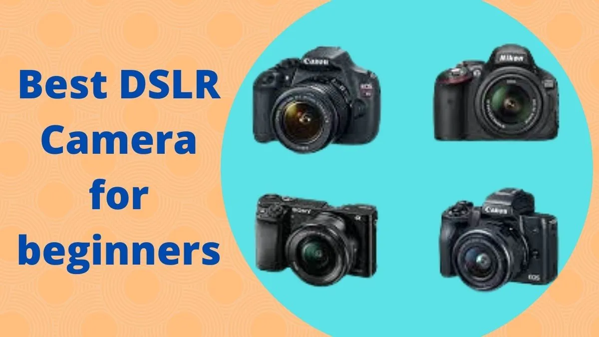 Best DSLR camera for beginners