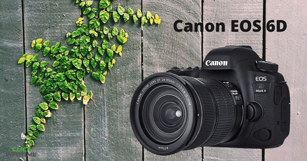 Canon EOS 6d : one of the best DSLRs on the market